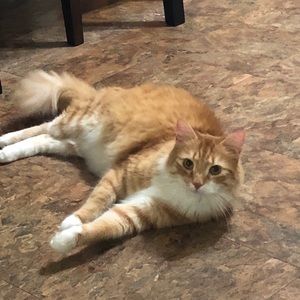 Meet your Posher, Alexis